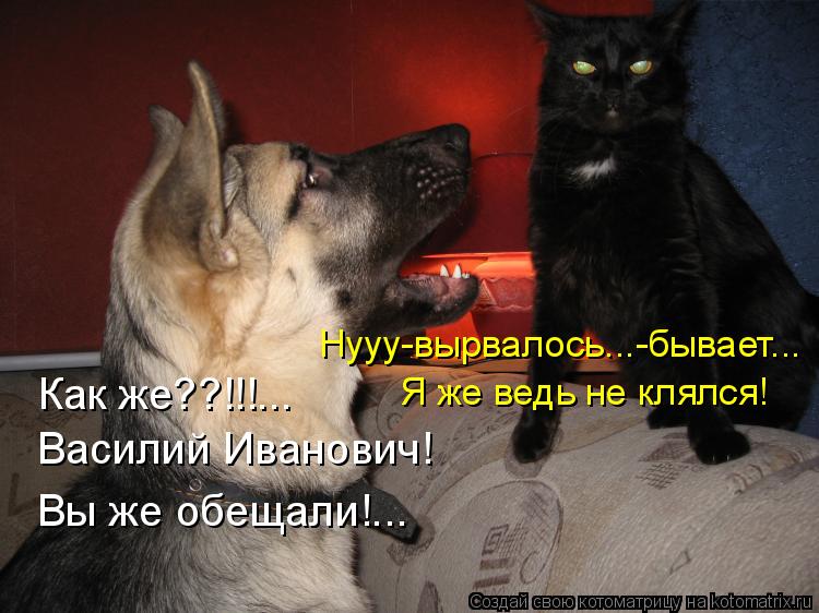Как же??!!!... Василий Иванович! Вы же обещали!... Нууу-вырвалось...-бывает... Я же ведь не клялся!... Котоматрица: Как же??!!!... Василий Иванович! Вы же обещали!... Нууу-вырвалось...-бывает... Я же ведь не клялся!