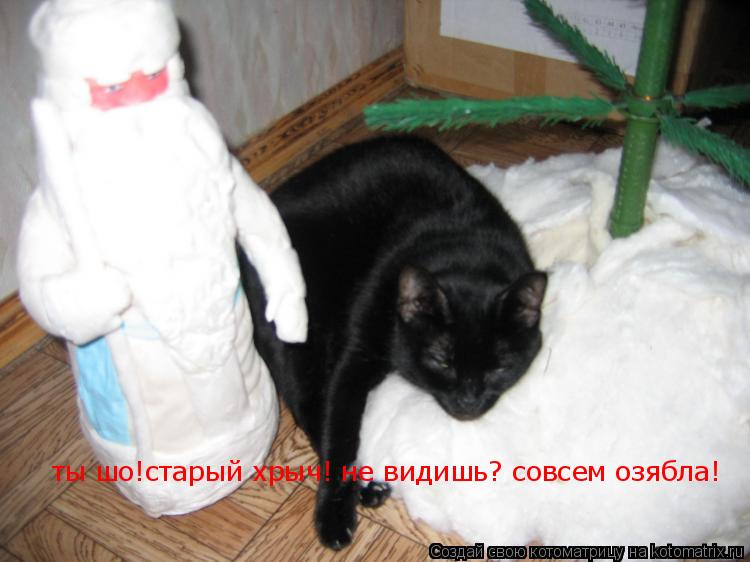 ты шо!старый хрыч! не видишь? совсем озябла!... Котоматрица: ты шо!старый хрыч! не видишь? совсем озябла!