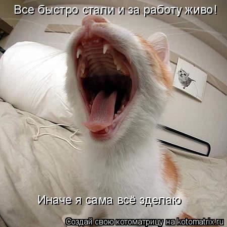 Все быстро стали и за работу живо! Иначе я сама всё зделаю... Котоматрица: Все быстро стали и за работу живо! Иначе я сама всё зделаю