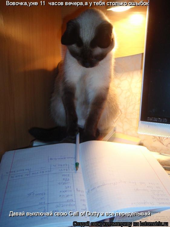 Котоматрица: Вовочка,уже 11  часов вечера,а у тебя столько ошыбок Давай выключай свою Call of Dutty и все переделывай