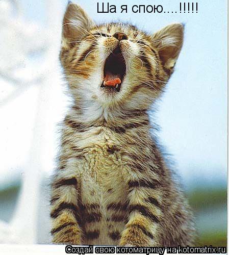 Ша я спою....!!!!!... Котоматрица: Ша я спою....!!!!!