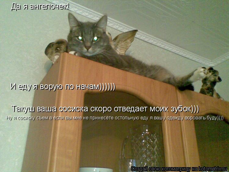 Да я ангелочек! И еду я ворую по начам)))))) Такуш ваша сосиска скоро отведает моих зубок))) Ну я сос... Котоматрица: Да я ангелочек! И еду я ворую по начам)))))) Такуш ваша сосиска скоро отведает моих зубок))) Ну я сосиску съем а если вы мне не принесёте остольн