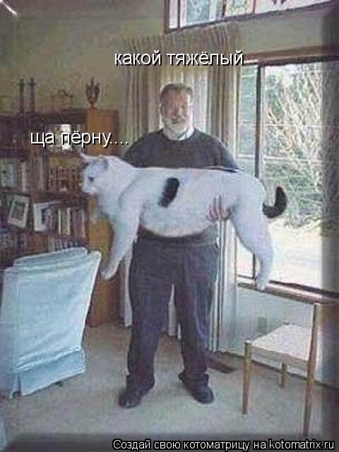 какой тяжёлый ща пёрну....... Котоматрица: какой тяжёлый ща пёрну....