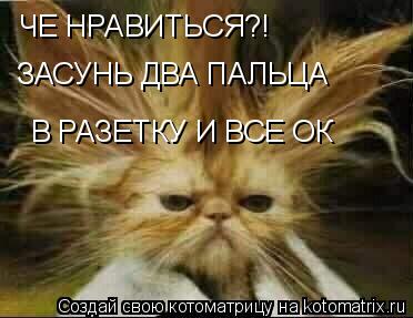 ЧЕ НРАВИТЬСЯ?! ЗАСУНЬ ДВА ПАЛЬЦА В РАЗЕТКУ И ВСЕ ОК... Котоматрица: ЧЕ НРАВИТЬСЯ?! ЗАСУНЬ ДВА ПАЛЬЦА В РАЗЕТКУ И ВСЕ ОК