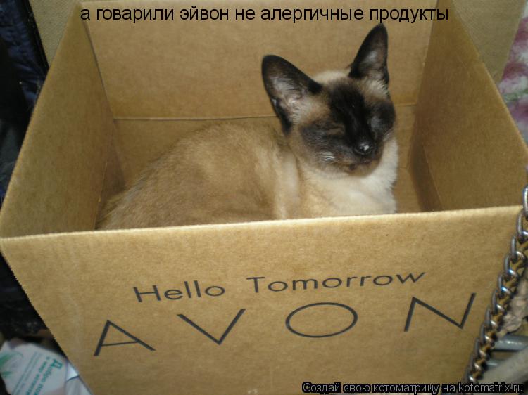 Котоматрица: а говарили эйвон не алергичные продукты