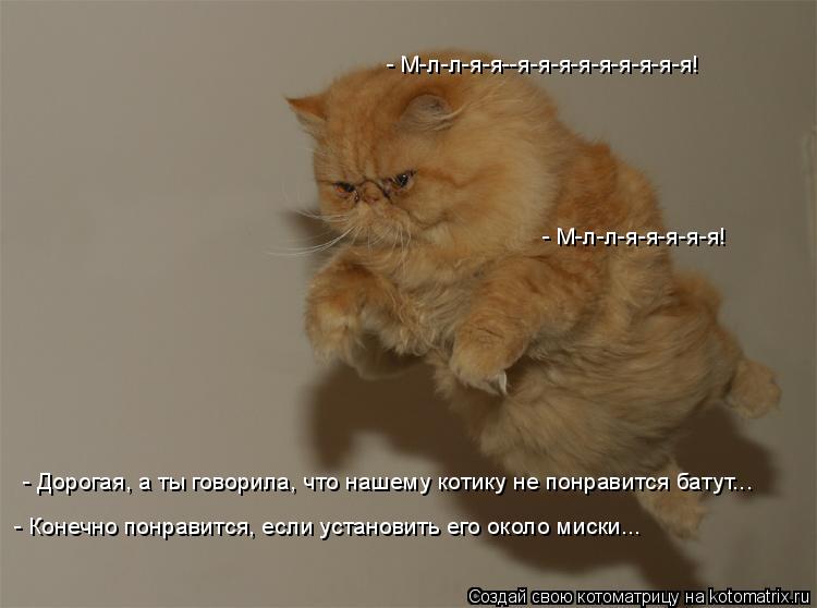 - Дорогая, а ты говорила, что нашему котику не понравится батут... - Конечно понравится, если установ... Котоматрица: - Дорогая, а ты говорила, что нашему котику не понравится батут... - Конечно понравится, если установить его около миски... - М-л-л-я-я-я-я-я! - М-л-л