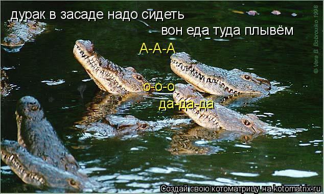 вон еда туда плывём дурак в засаде надо сидеть да-да-да А-А-А о-о-о... Котоматрица: вон еда туда плывём дурак в засаде надо сидеть да-да-да А-А-А о-о-о