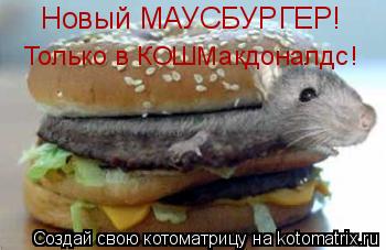 Новый МАУСБУРГЕР! Только в КОШМакдоналдс!... Котоматрица: Новый МАУСБУРГЕР! Только в КОШМакдоналдс!