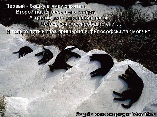 Первый - бошку в ямку спрятал, Второй назад весь день глядит. А третий вот - расслабил лапы, Четвёрты... Котоматрица: Первый - бошку в ямку спрятал, Второй назад весь день глядит. А третий вот - расслабил лапы, Четвёртый - беспробудно спит... И только пятый глаз