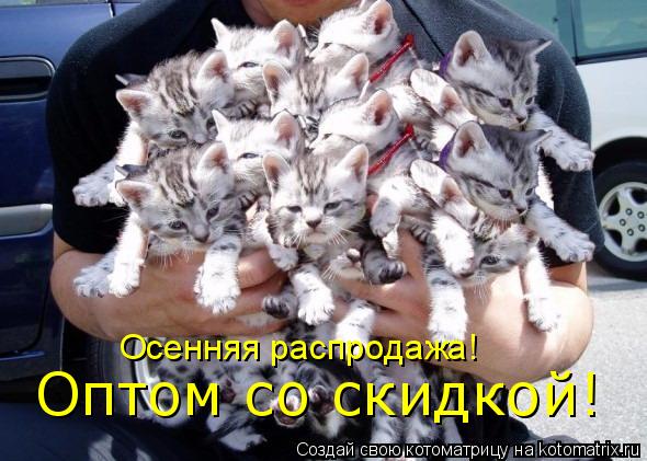 Оптом со скидкой! Осенняя распродажа!... Котоматрица: Оптом со скидкой! Осенняя распродажа!