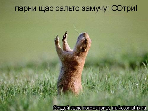 парни щас сальто замучу! СОтри!... Котоматрица: парни щас сальто замучу! СОтри!