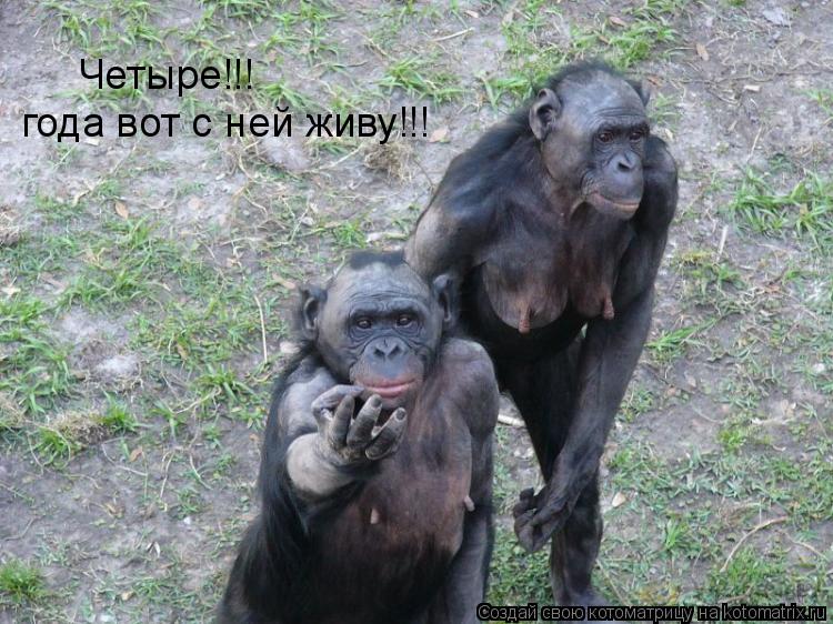 Четыре!!! года вот с ней живу!!!... Котоматрица: Четыре!!! года вот с ней живу!!!
