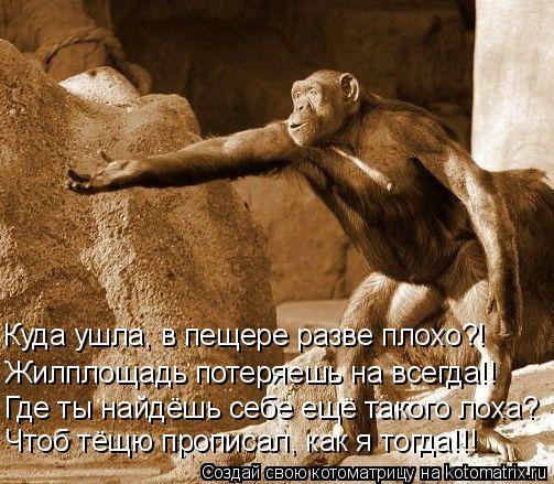 Где ты найдёшь себе ещё такого лоха? Жилплощадь потеряешь на всегда!! Куда ушла, в пещере разве плохо... Котоматрица: Где ты найдёшь себе ещё такого лоха? Жилплощадь потеряешь на всегда!! Куда ушла, в пещере разве плохо?! Чтоб тёщю прописал, как я тогда!!!