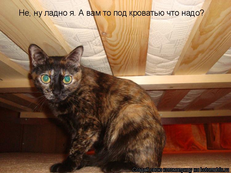 Не, ну ладно я. А вам то под кроватью что надо?... Котоматрица: Не, ну ладно я. А вам то под кроватью что надо?