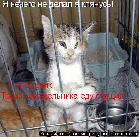 Котоматрица: Я нечего не делал я клянусь! Нет Барсик!  Ты из холодельника еду стащил!