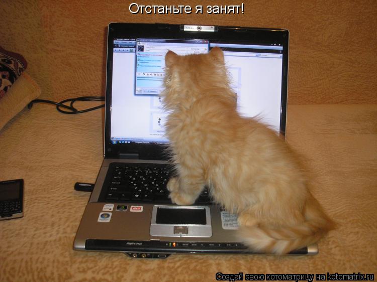 Отстаньте я занят!... Котоматрица: Отстаньте я занят!