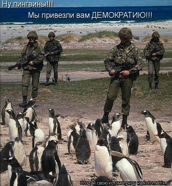 Котоматрица: Ну пингвины!!! Мы привезли вам ДЕМОКРАТИЮ!!!