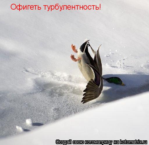 Офигеть турбулентность!... Котоматрица: Офигеть турбулентность!