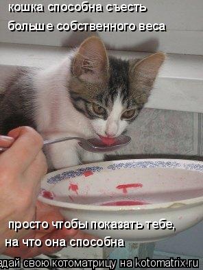 больше собственного веса просто чтобы показать тебе, кошка способна съесть на что она способна... Котоматрица: больше собственного веса просто чтобы показать тебе, кошка способна съесть на что она способна
