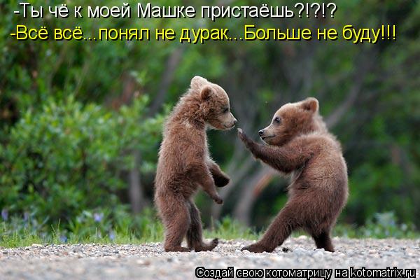 -Ты чё к моей Машке пристаёшь?!?!? -Всё всё...понял не дурак...Больше не буду!!!... Котоматрица: -Ты чё к моей Машке пристаёшь?!?!? -Всё всё...понял не дурак...Больше не буду!!!