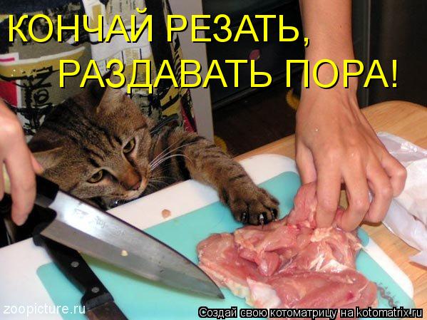 КОНЧАЙ РЕЗАТЬ, РАЗДАВАТЬ ПОРА!... Котоматрица: КОНЧАЙ РЕЗАТЬ, РАЗДАВАТЬ ПОРА!