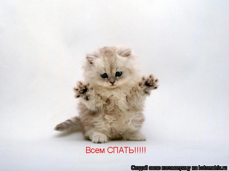 Всем СПАТЬ!!!!!... Котоматрица: Всем СПАТЬ!!!!!