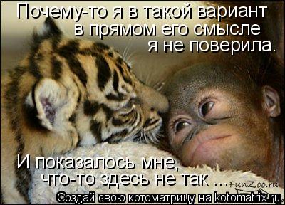 Почему-то я в такой вариант в прямом его смысле я не поверила. И показалось мне, что-то здесь не т... Котоматрица: Почему-то я в такой вариант в прямом его смысле я не поверила. И показалось мне, что-то здесь не так ...