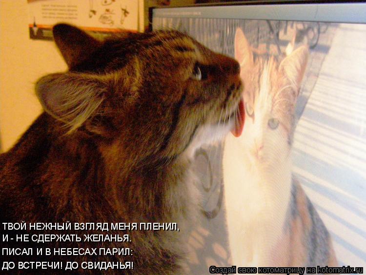 ДО ВСТРЕЧИ! ДО СВИДАНЬЯ! ДО ВСТРЕЧИ! ДО СВИДАНЬЯ! И - НЕ СДЕРЖАТЬ ЖЕЛАНЬЯ. ТВОЙ НЕЖНЫЙ ВЗГЛЯД МЕНЯ ПЛ... Котоматрица: ДО ВСТРЕЧИ! ДО СВИДАНЬЯ! ДО ВСТРЕЧИ! ДО СВИДАНЬЯ! И - НЕ СДЕРЖАТЬ ЖЕЛАНЬЯ. ТВОЙ НЕЖНЫЙ ВЗГЛЯД МЕНЯ ПЛЕНИЛ, ПИСАЛ И В НЕБЕСАХ ПАРИЛ: