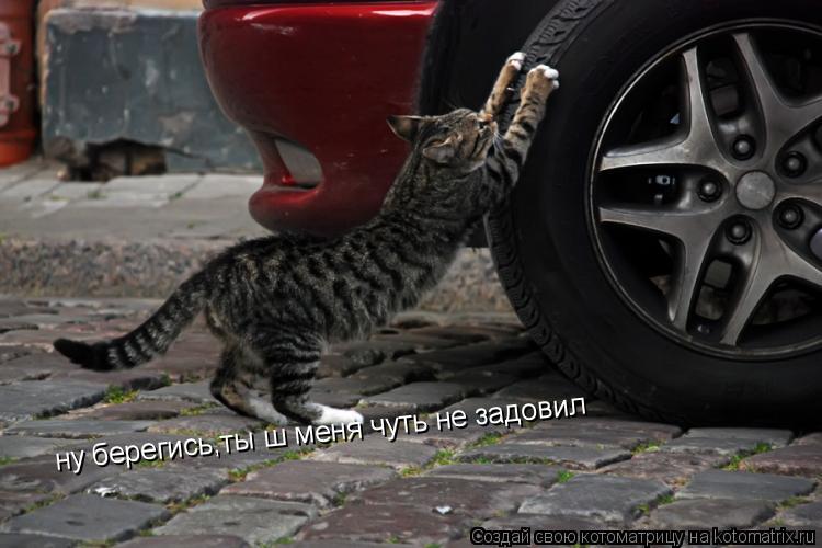 ну берегись,ты ш меня чуть не задовил... Котоматрица: ну берегись,ты ш меня чуть не задовил