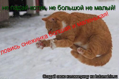 ловись снежинка болшая и маленькая! не падай котик, не большой не малый!... Котоматрица: ловись снежинка болшая и маленькая! не падай котик, не большой не малый!