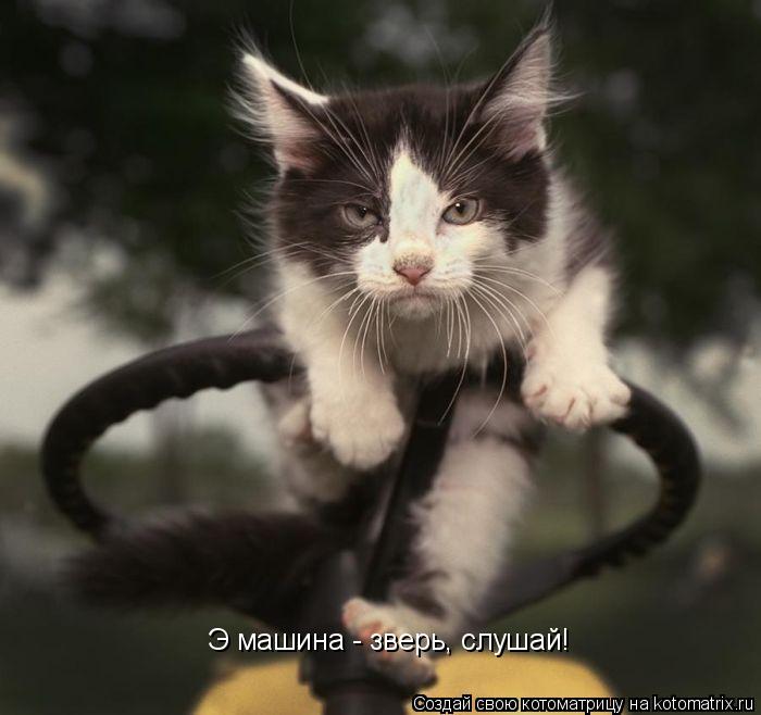 Э машина - зверь, слушай!... Котоматрица: Э машина - зверь, слушай!