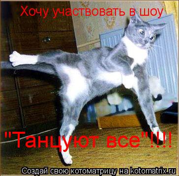 Хочу участвовать в шоу "Танцуют все"!!!!... Котоматрица: Хочу участвовать в шоу "Танцуют все"!!!!