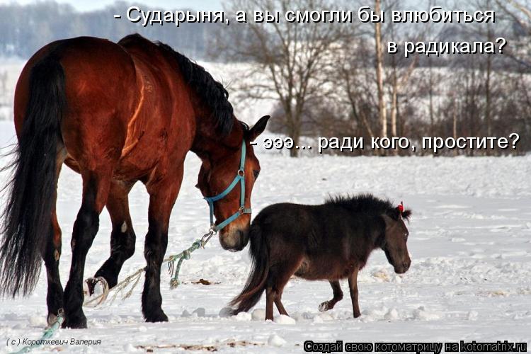 - Сударыня, а вы смогли бы влюбиться в радикала? - эээ... ради кого, простите?... Котоматрица: - Сударыня, а вы смогли бы влюбиться в радикала? - эээ... ради кого, простите?