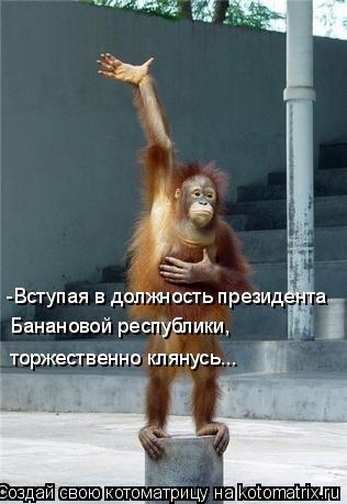 -Вступая в должность президента торжественно клянусь... Банановой республики,... Котоматрица: -Вступая в должность президента торжественно клянусь... Банановой республики,