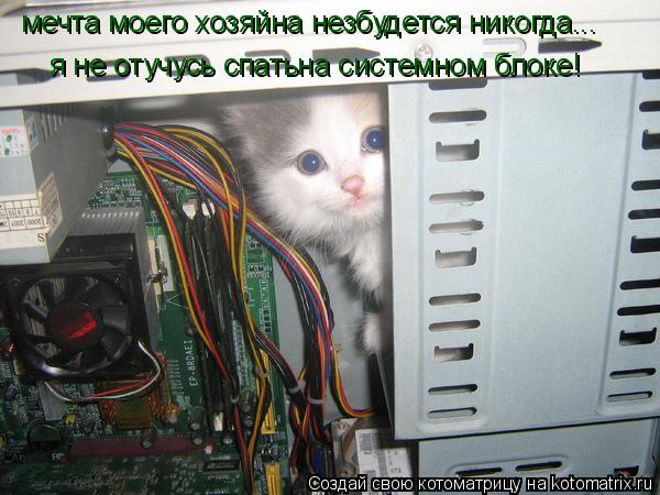 мечта моего хозяйна незбудется никогда... я не отучусь спатьна системном блоке!... Котоматрица: мечта моего хозяйна незбудется никогда... я не отучусь спатьна системном блоке!