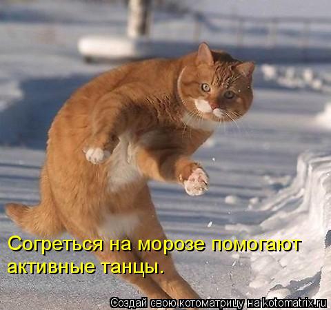 Согреться на морозе помогают активные танцы.... Котоматрица: Согреться на морозе помогают активные танцы.