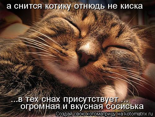 а снится котику отнюдь не киска ...в тех снах присутствует ... огромная и вкусная сосиська... Котоматрица: а снится котику отнюдь не киска ...в тех снах присутствует ... огромная и вкусная сосиська
