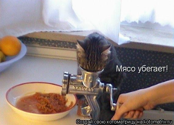 Мясо убегает!... Котоматрица: Мясо убегает!