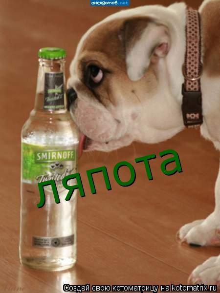 ляпота... Котоматрица: ляпота