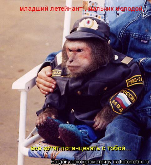младший летейнант , мальчик молодой, младший летейнант , мальчик молодой, все хотят потанцевать с т... Котоматрица: младший летейнант , мальчик молодой, младший летейнант , мальчик молодой, все хотят потанцевать с тобой...