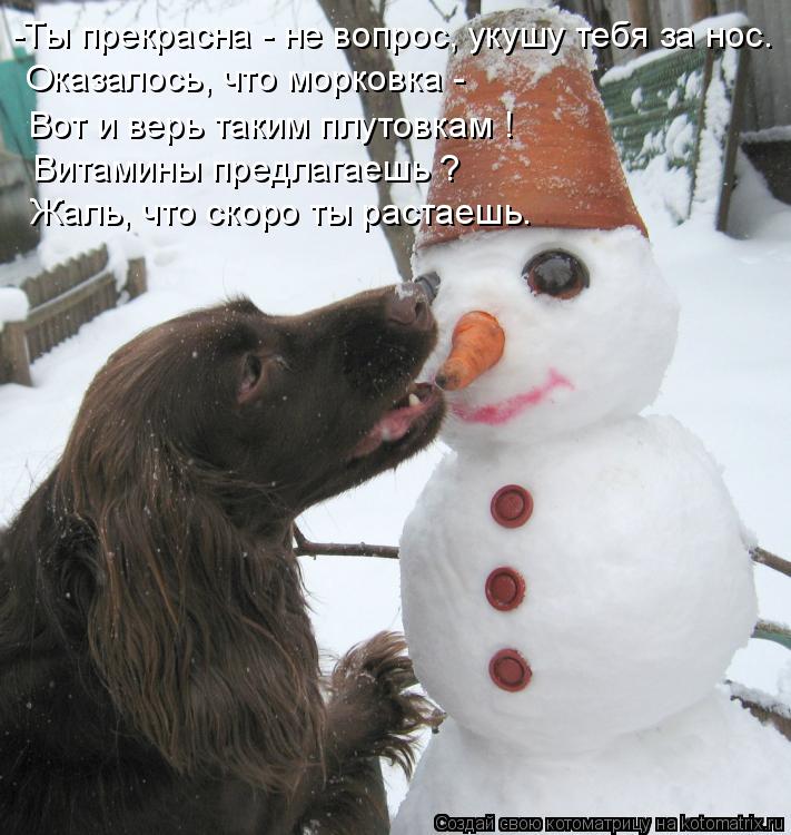 -Ты прекрасна - не вопрос, укушу тебя за нос. Оказалось, что морковка - Вот и верь таким плутовкам !... Котоматрица: -Ты прекрасна - не вопрос, укушу тебя за нос. Оказалось, что морковка - Вот и верь таким плутовкам ! Жаль, что скоро ты растаешь. Витамины предл