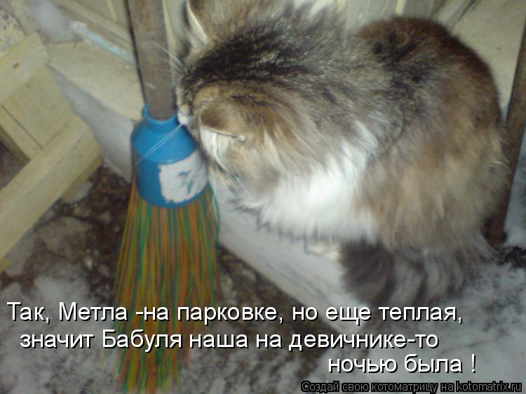Так, Метла -на парковке, но еще теплая, значит Бабуля наша на девичнике-то ночью была !... Котоматрица: Так, Метла -на парковке, но еще теплая, значит Бабуля наша на девичнике-то ночью была !