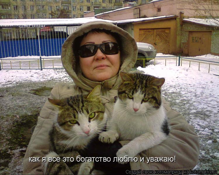 как я все это богатство люблю и уважаю!... Котоматрица: как я все это богатство люблю и уважаю!