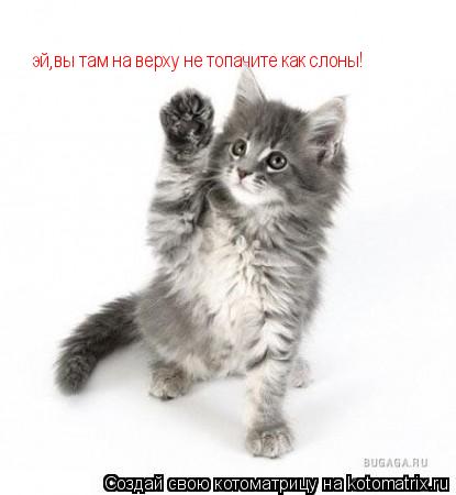 эй,вы там на верху не топачите как слоны!... Котоматрица: эй,вы там на верху не топачите как слоны!