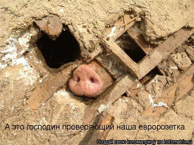 А это господин проверяющий наша евророзетка.... Котоматрица: А это господин проверяющий наша евророзетка.