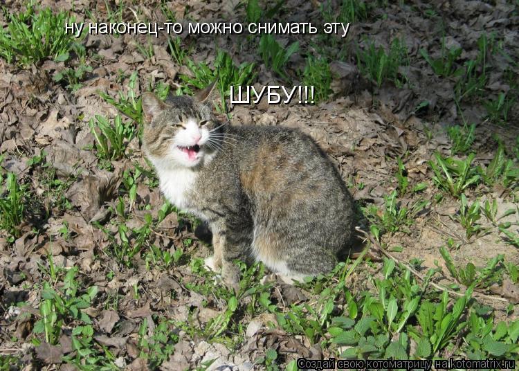 ну наконец-то можно снимать эту ШУБУ!!!... Котоматрица: ну наконец-то можно снимать эту ШУБУ!!!