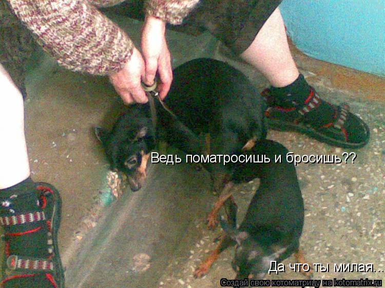 Ведь поматросишь и бросишь?? Да что ты милая...... Котоматрица: Ведь поматросишь и бросишь?? Да что ты милая...