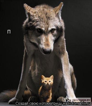 п... Котоматрица: п