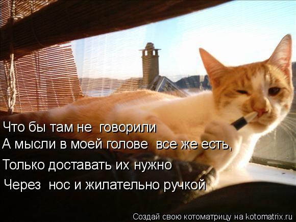 Только доставать их нужно Что бы там не говорили А мысли в моей голове все же есть, Через нос и ж... Котоматрица: Только доставать их нужно Что бы там не говорили А мысли в моей голове все же есть, Через нос и жилательно ручкой