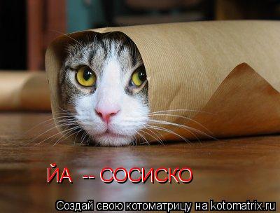 ЙА -- СОСИСКО ЙА -- СОСИСКО... Котоматрица: ЙА -- СОСИСКО ЙА -- СОСИСКО